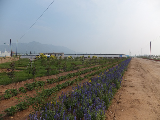棚區展示